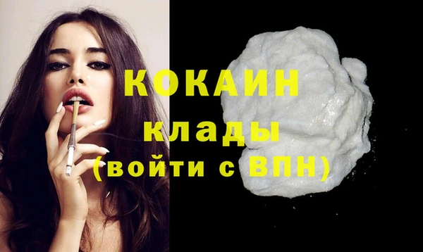 молекула духа Арсеньев