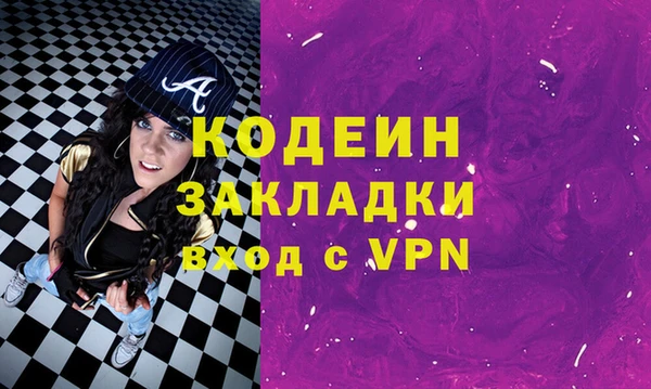 молекула духа Арсеньев