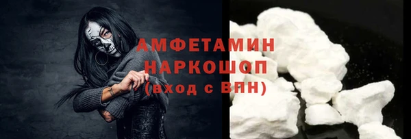 молекула духа Арсеньев
