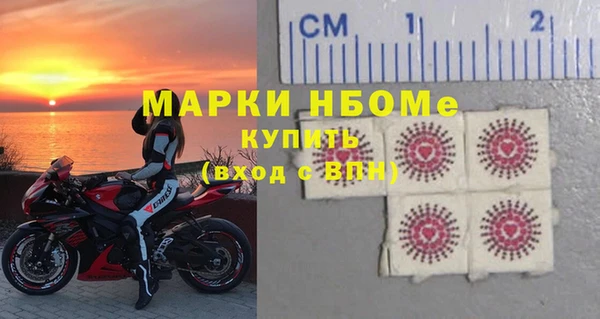 молекула духа Арсеньев